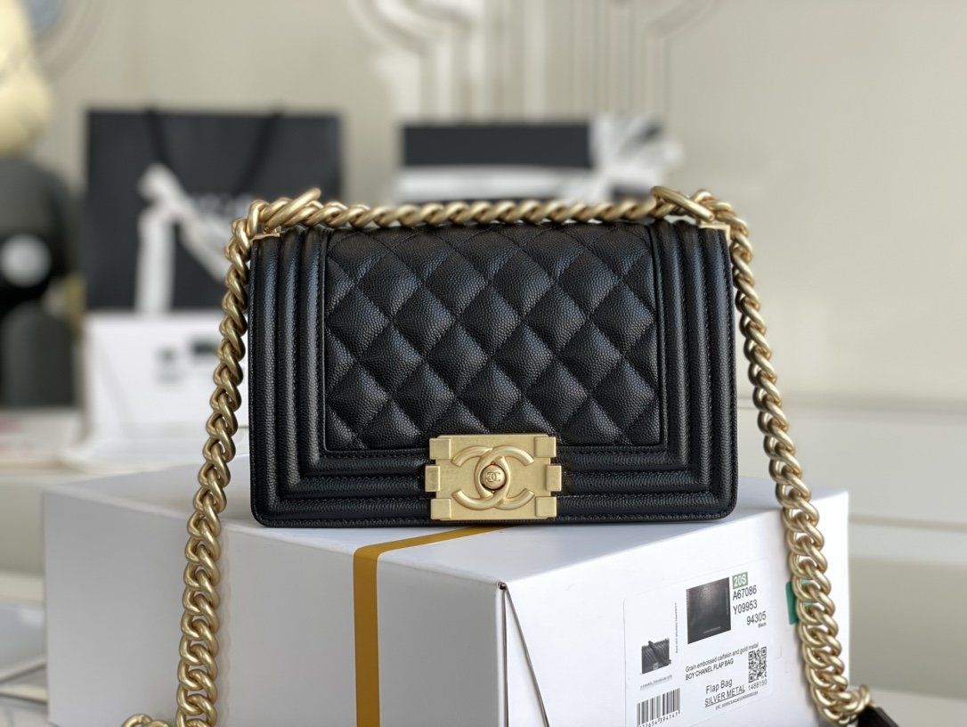 Chanel Leboy Series Bags